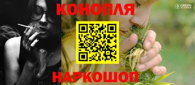крисы Краснознаменск