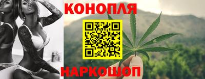 сатива Краснодар
