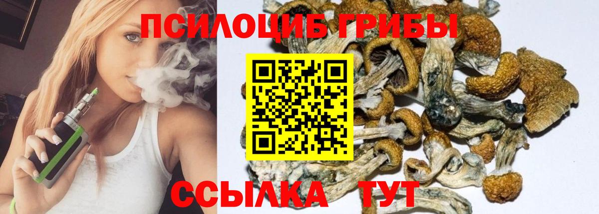 Галлюциногенные грибы Psilocybe Дубна